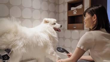 ペット用設備・サービス / 5