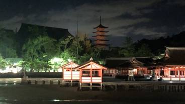 ランド ビュー / 26