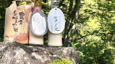食事・飲み物 / 16