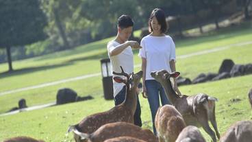 ランド ビュー / 20