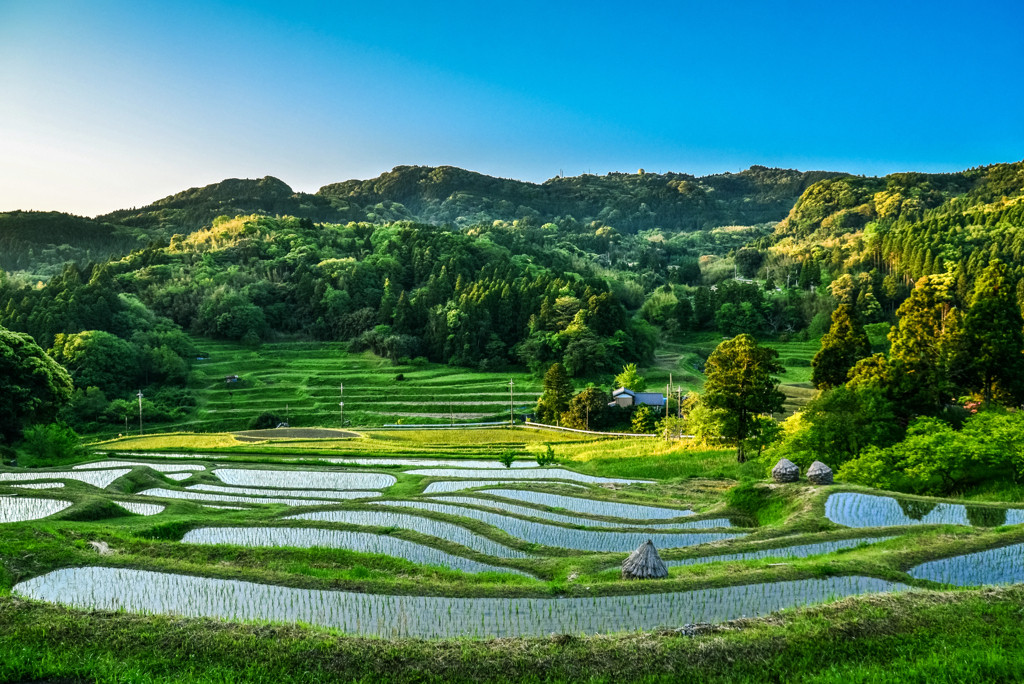 澄んだ空気が美味しい「大山千枚田」で深呼吸3553130