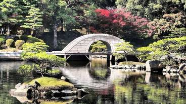 観光スポット / 11