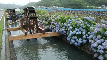 シティ ビュー / 31