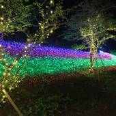 富士ざくらホテル(静岡県 リゾートホテル) / 5