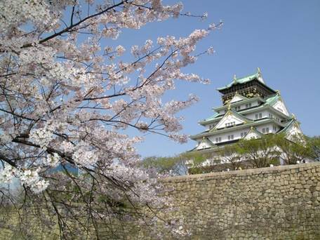 ホテルオークスアーリーバード大阪森ノ宮 / 4