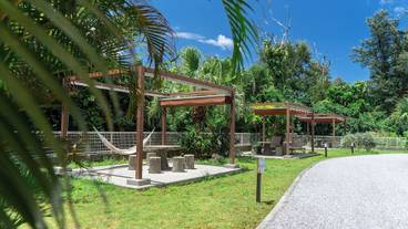 ガーデン ビュー / 9