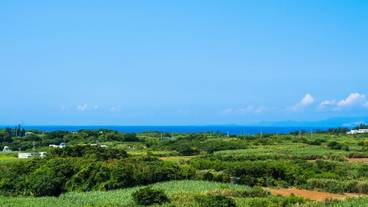 施設からの眺望 / 9