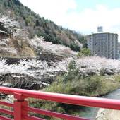 塩江温泉 新樺川観光ホテル（香川県 旅館） / 4