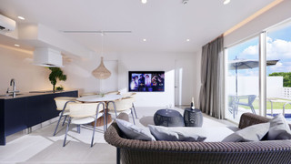 エグゼクティブ ヴィラ　D