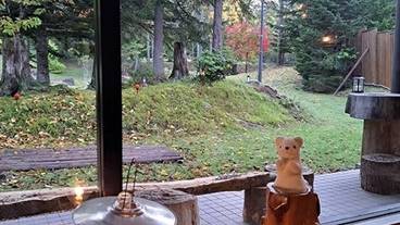 ロビー／眺望 / 2