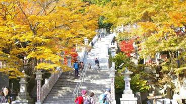 施設の敷地 / 18