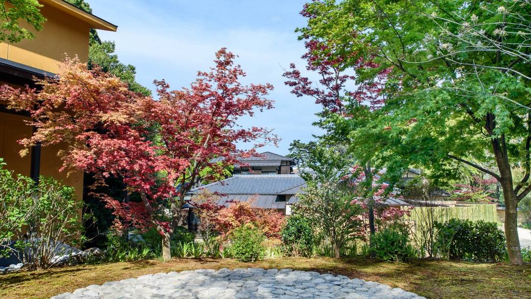 静かな自然に癒されて
チェックアウト / 1