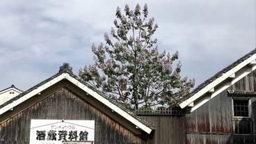 部屋からの景観 / 13