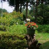 ペンション ウッドストック（山梨県 ペンション） / 2