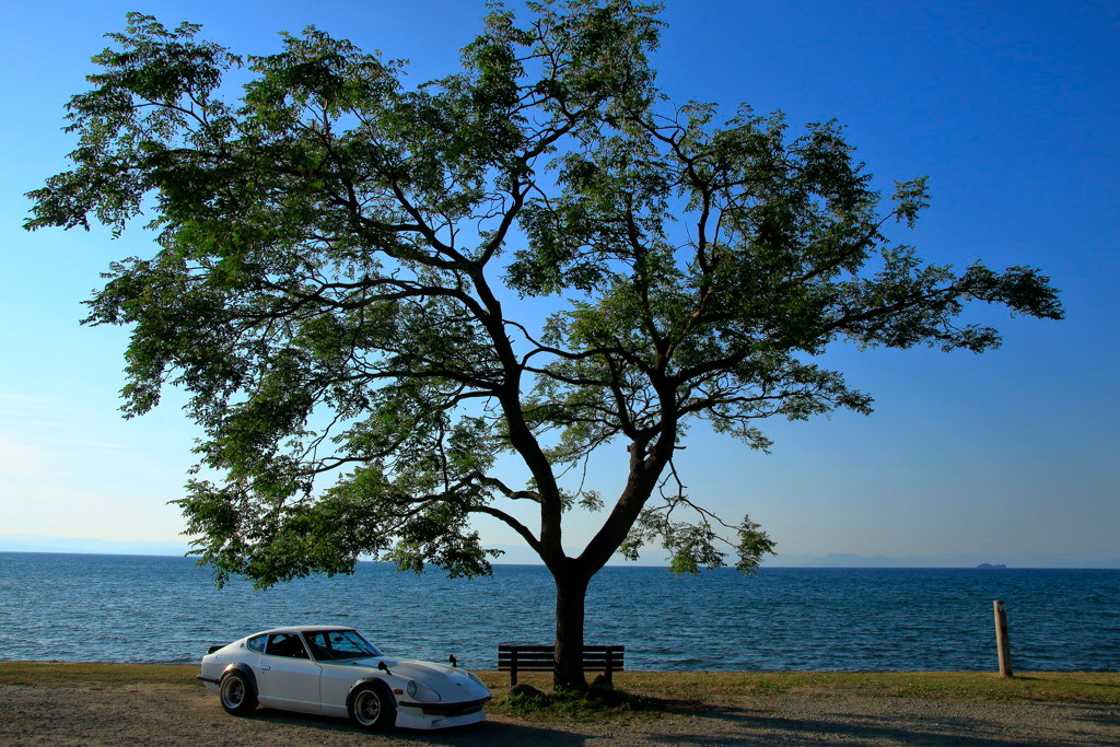 仕事で疲れた心を癒す。滋賀の「琵琶湖」3699564