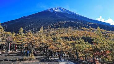 観光スポット / 7