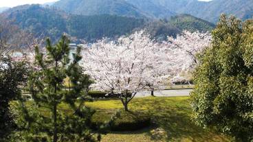 マウンテン ビュー / 19