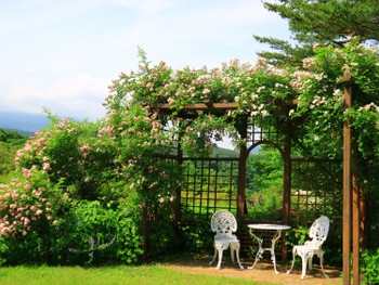 メルヘンな庭のベンチ