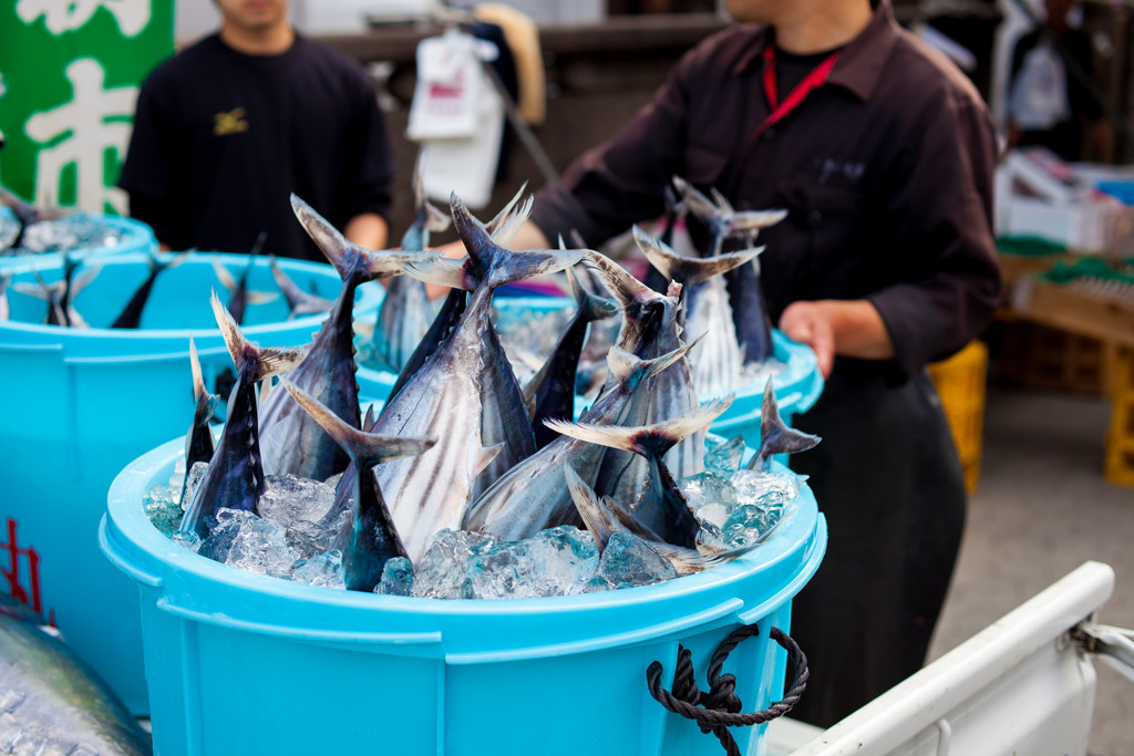 「勝浦朝市」で、ここならではのローカル朝ごはん3553146