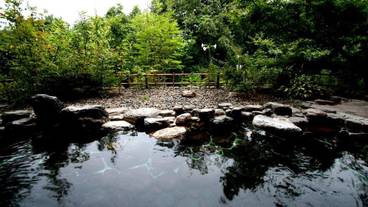 施設の敷地 / 18