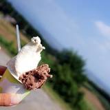 タンポポ 長坂牧場内工場・直売店（タンポポ）