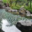 箱根温泉 鶴井の宿 紫雲荘