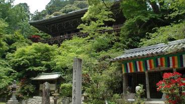 観光スポット / 7