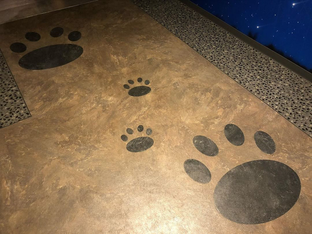 k.flower_family.tripさんの写真 / 2