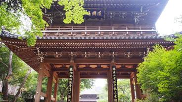 シティ ビュー / 15