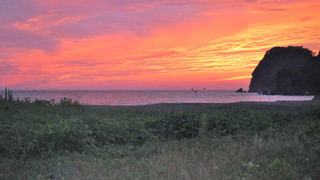 洋室Sツインルーム