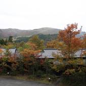 筋湯温泉 山あいの宿 喜安屋（大分県 旅館） / 4