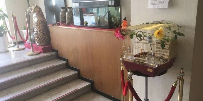 沖縄ホテルコンチネンタル（沖縄県 ビジネスホテル） / 1