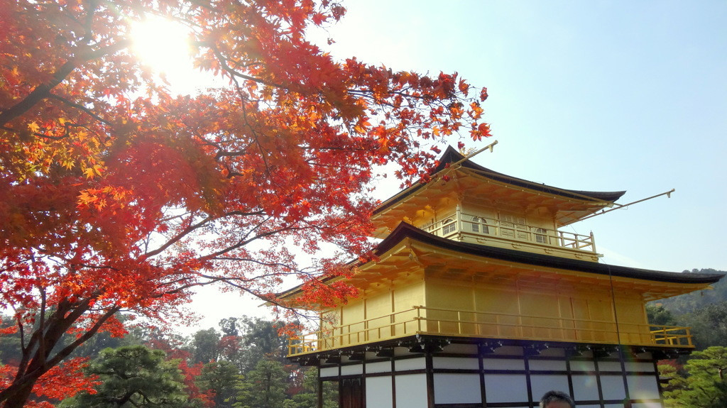 秋の京都で紅葉をほっこり楽しむ1725013