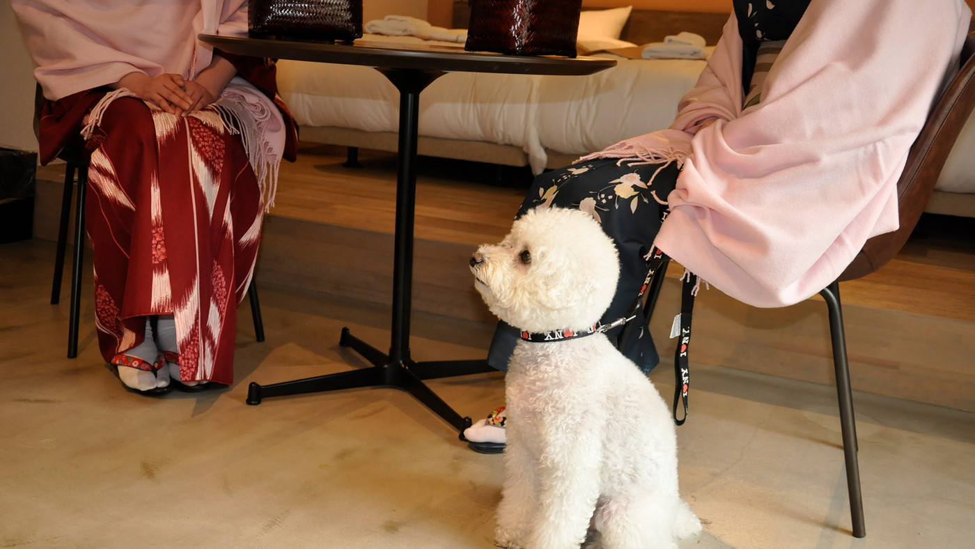 超大型犬も泊まれる♪嵐山観光の拠点にも◎3929439