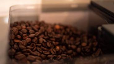 コーヒー サービス / 2