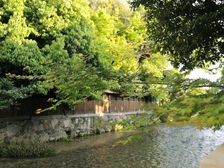 季楽 京都 東山 / 3