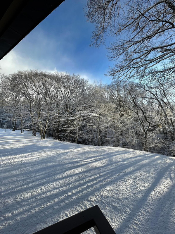 cafedolce25さんの写真 / 2