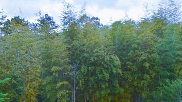 施設からの眺望 / 38