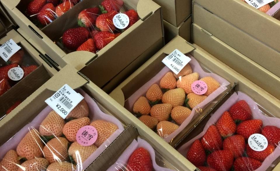 新鮮な果物も販売 / 3