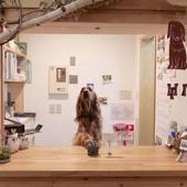 ペンション グスベリー（北海道 ペンション） / 2