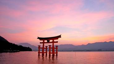 施設からの眺望 / 24