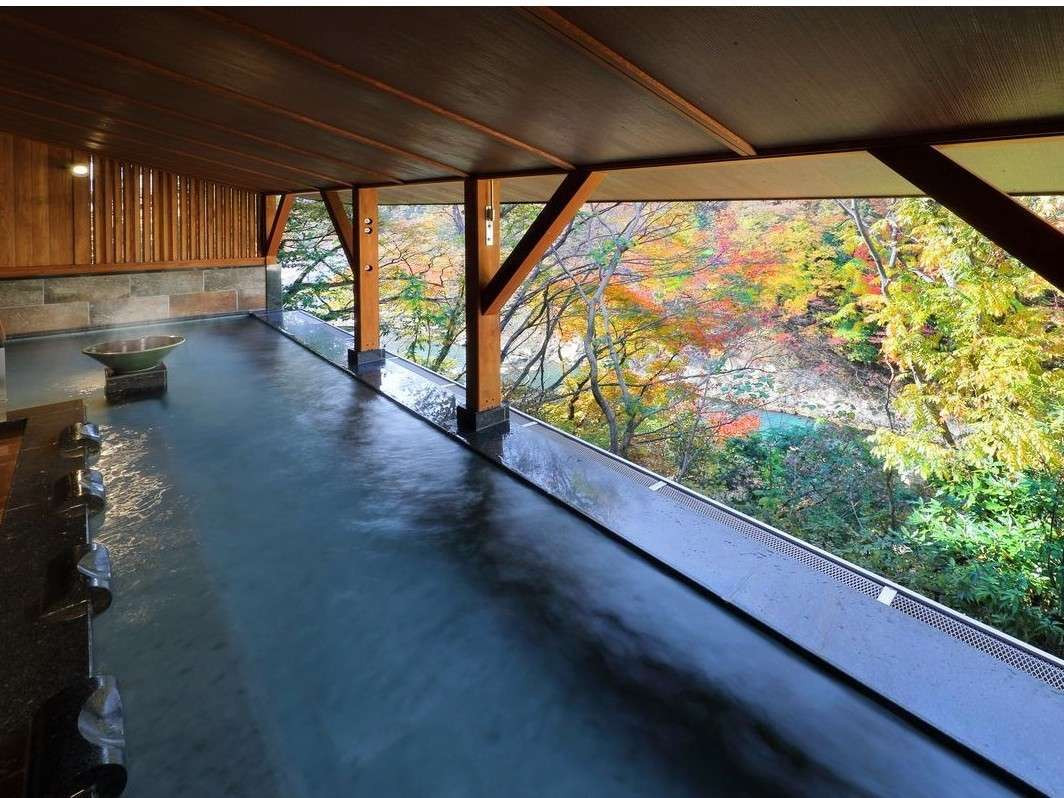 ホテル 七重八重（鬼怒川温泉）3976931