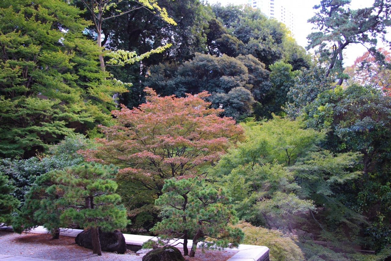 紅葉を望むラウンジも。白金台にたたずむ大人の隠れ家4041742