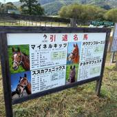 うらかわ優駿ビレッジAERU（北海道 リゾートホテル） / 3