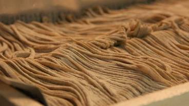 食事・飲み物 / 13