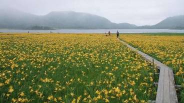 施設の敷地 / 28