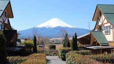部屋からの景観 / 33