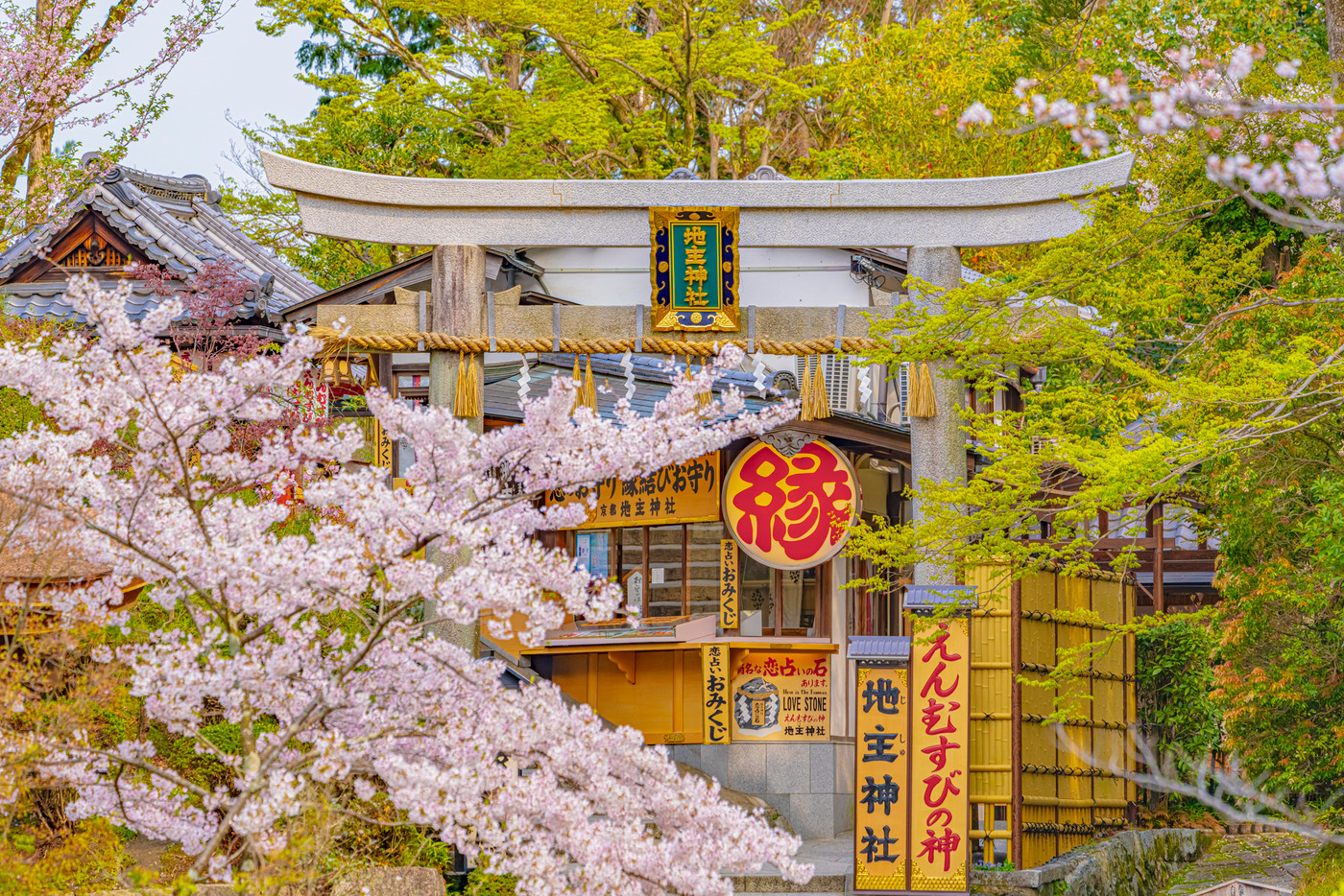 京都　春の地主神社　