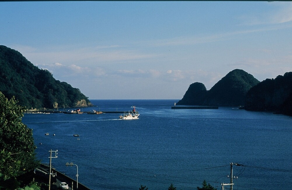 ビーチ / オーシャン ビュー