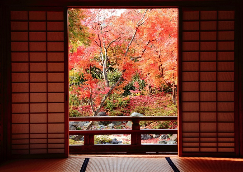 宝筐院2372724